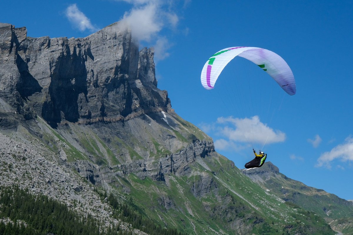 Ozone Swift 6