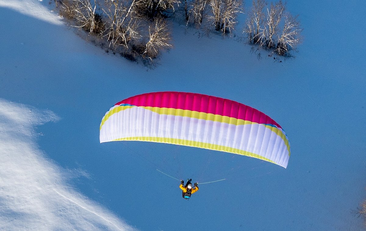 AirDesign Susi 4